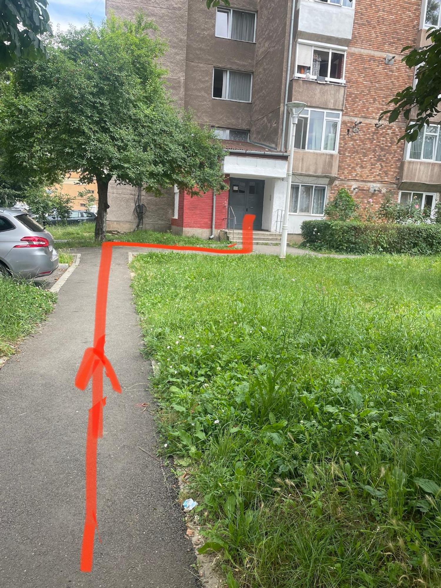 Central Studio Lcs Хунедоара Экстерьер фото