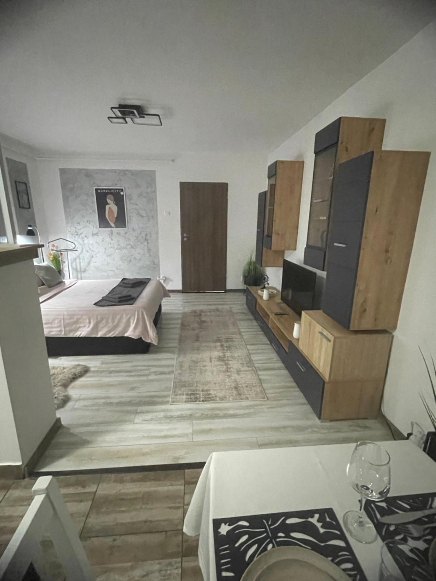 Central Studio Lcs Хунедоара Экстерьер фото